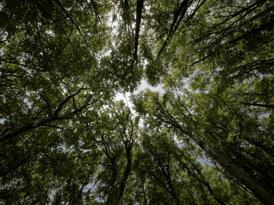 etre-un-voyageur-ecoresponsable-2