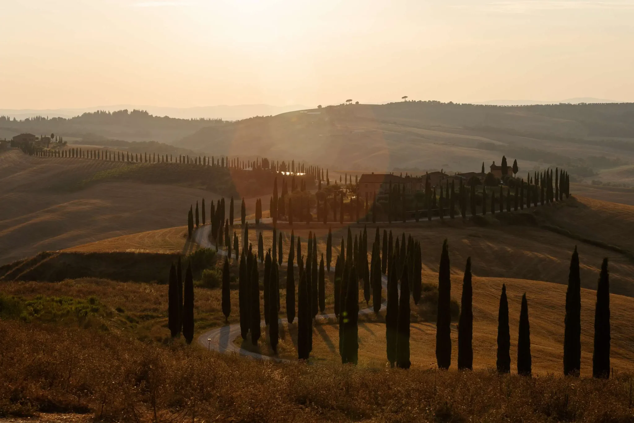 dolce-vita-orient-express_vignobles-toscans-1